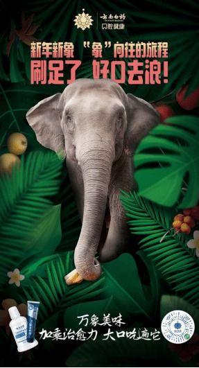 2022娱乐圈吃瓜乱象