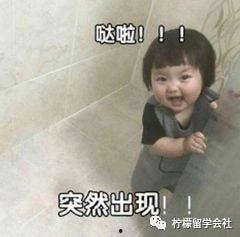 韩国人用的表情包